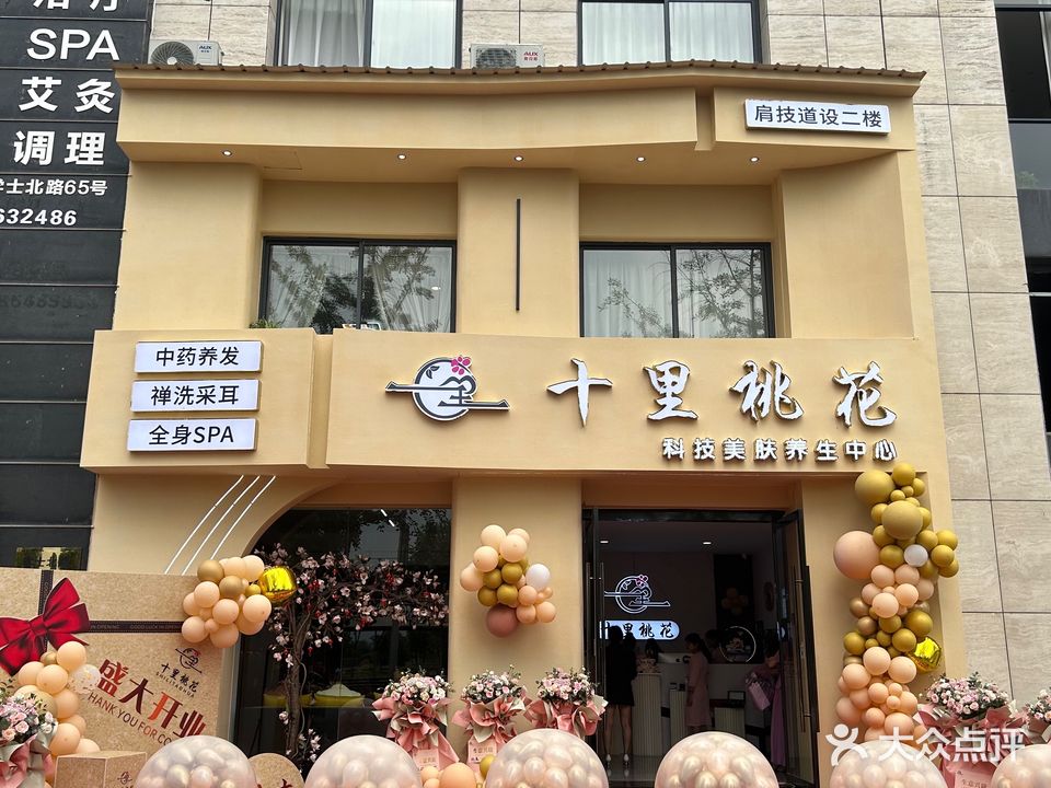 十里桃花科技美肤养生中心(世纪花城南区店)