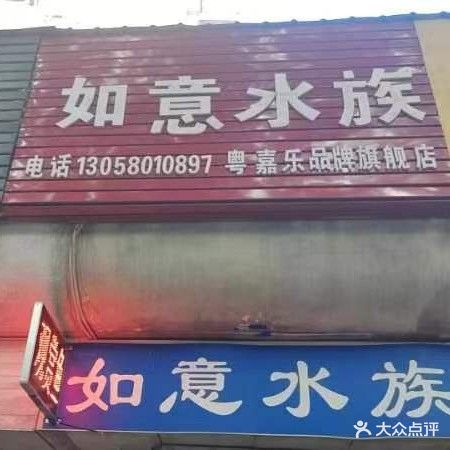 如意水族(后海大道店)
