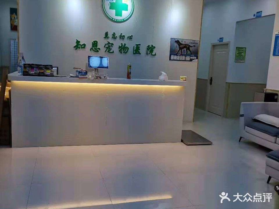知恩宠物医学总院
