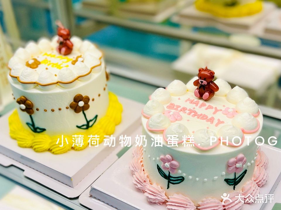 小薄荷动物奶油生日蛋糕(龙泉店)