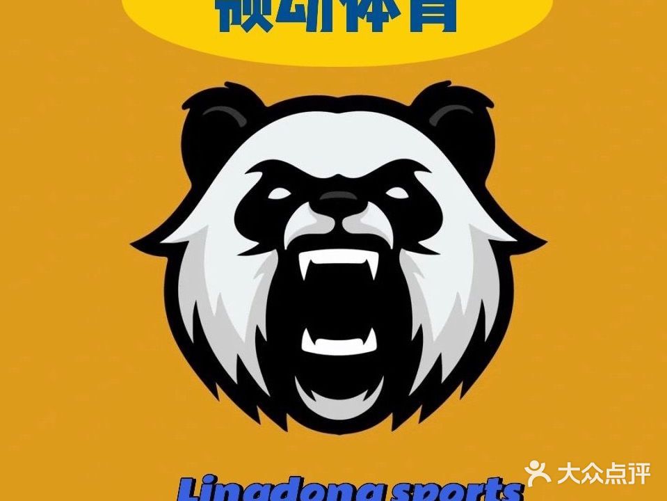 领动体育篮球培训(运动盒子店)