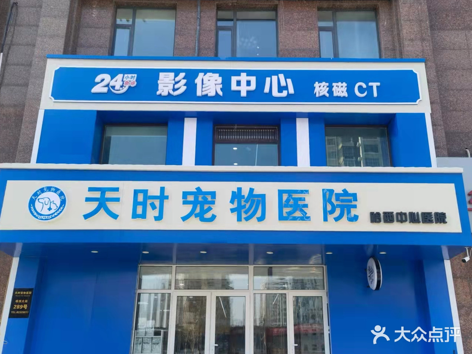 天时宠物医院24h核磁CT(哈西店)