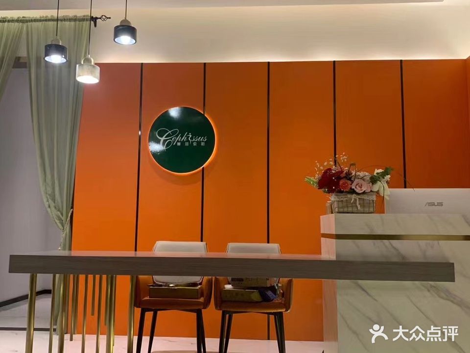 赛菲索斯美容SPA(和风雅颂店)