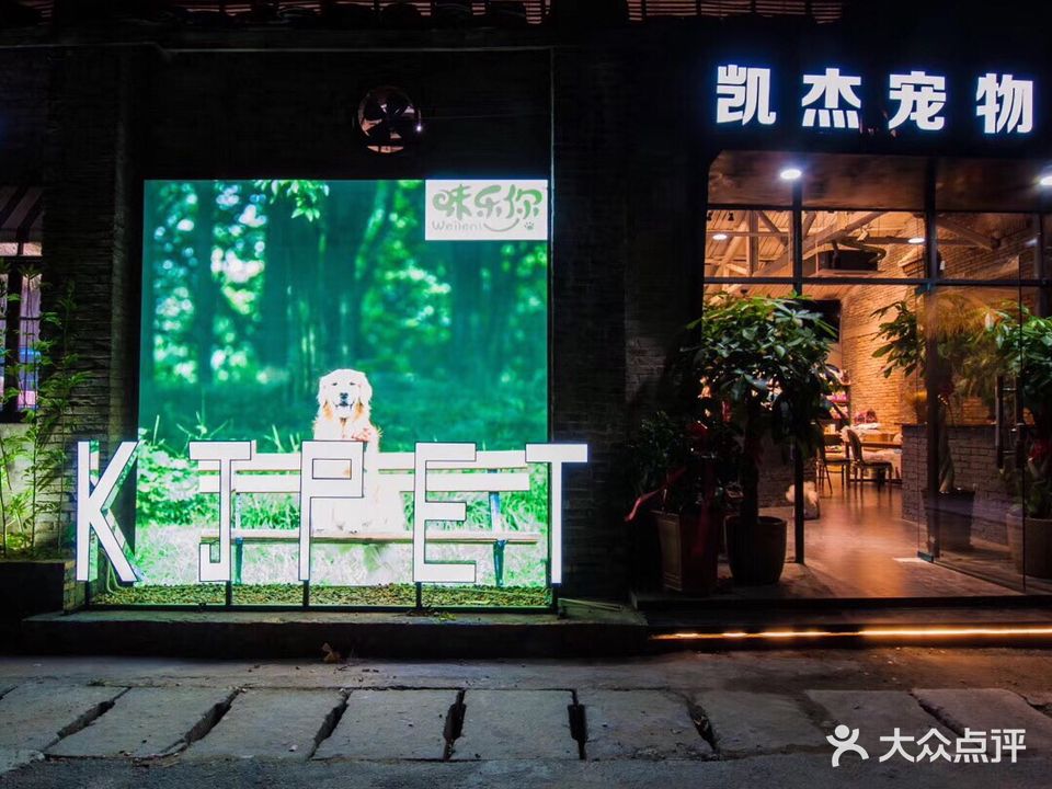 凯杰宠物会所(三叉街店)