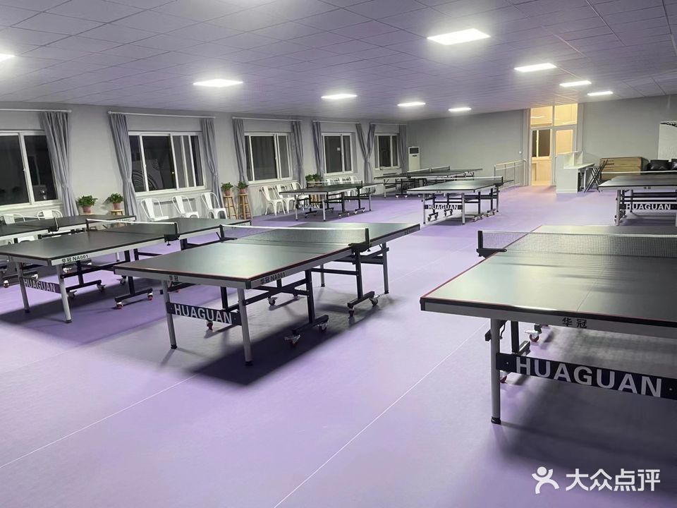 华冠乒乓球训练基地(程林东里店)