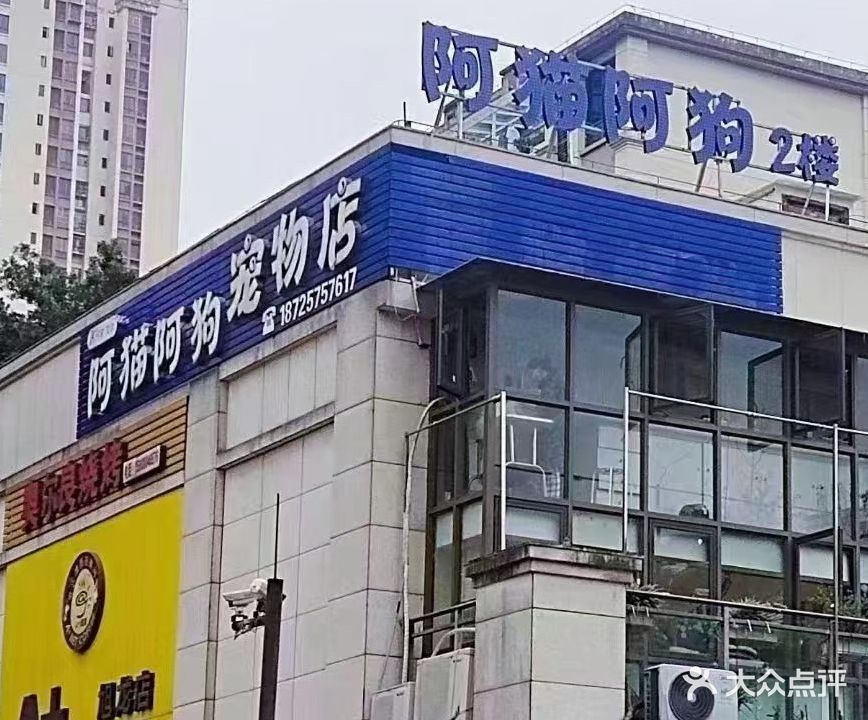 阿猫阿狗宠物店