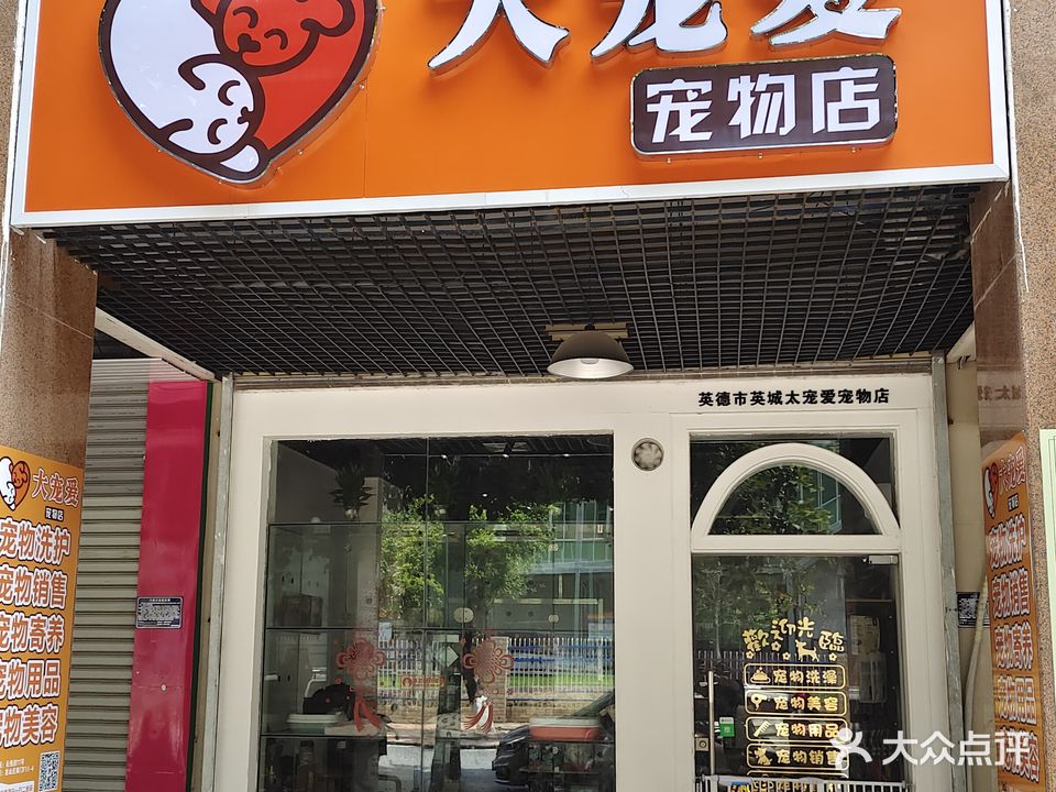 大宠爱宠物店