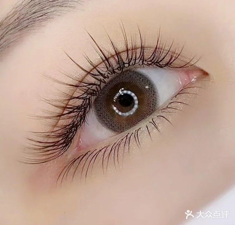 艺贝美睫