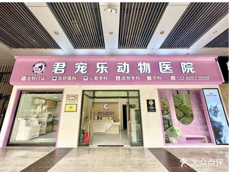 君宠乐动物医院·猫科·牙科·皮肤科·心脏科