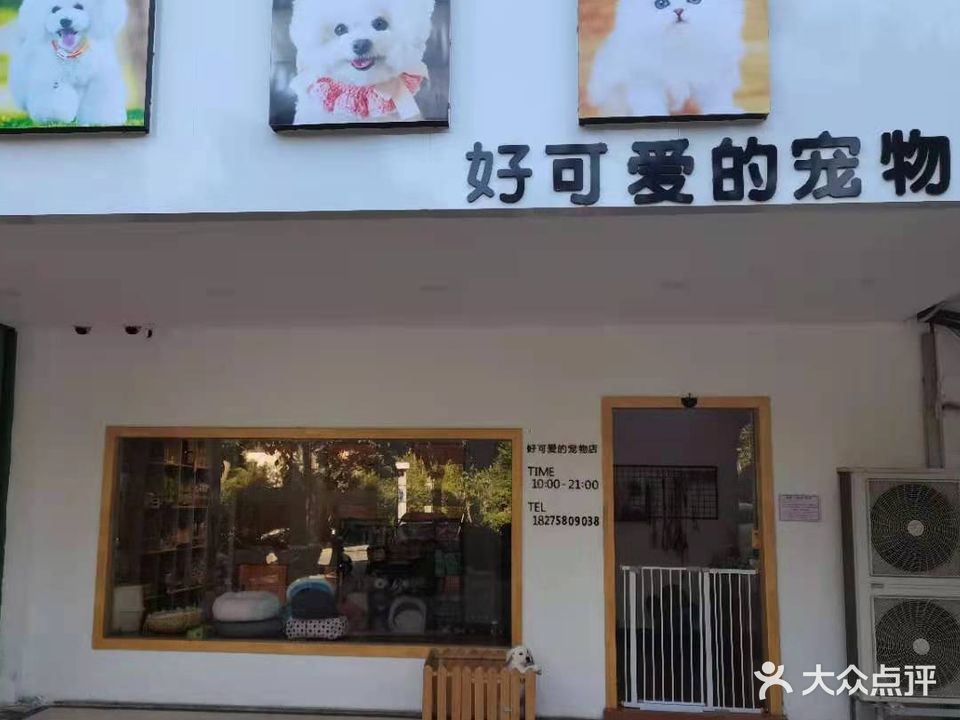 好可爱的宠物店