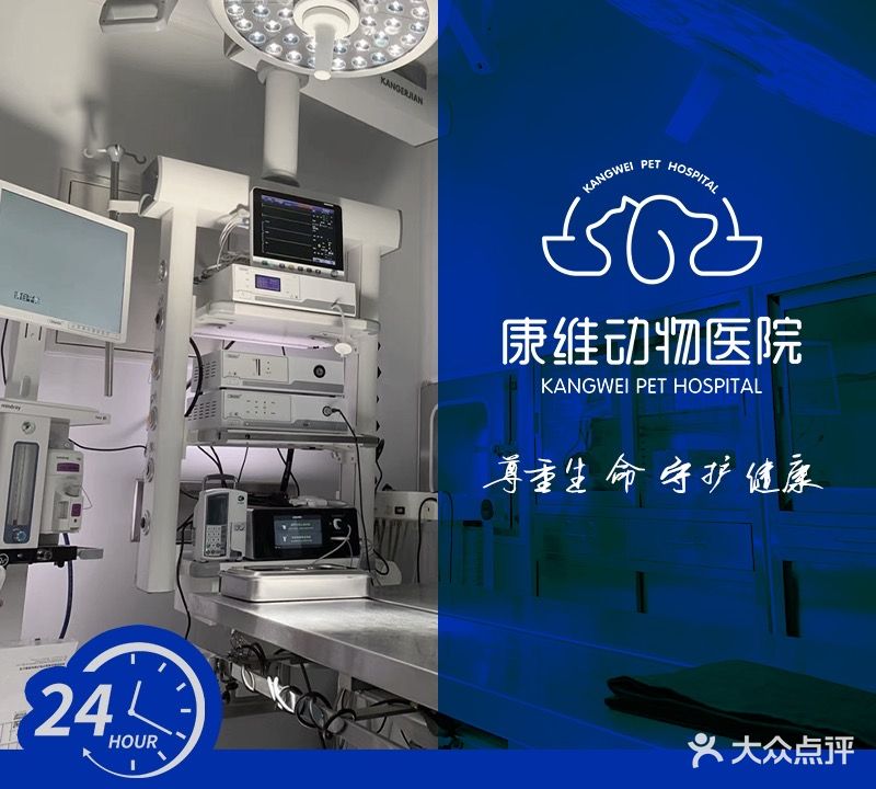 北京康维动物医院