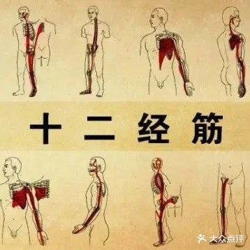 国术·十二经筋推拿正骨