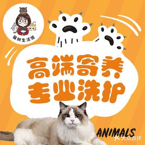 猫树生活馆