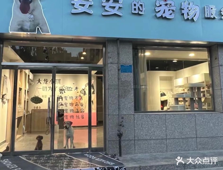 安安的宠物服务店