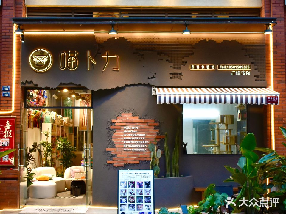 喵卜力名猫宠物体验馆(高铁站店)