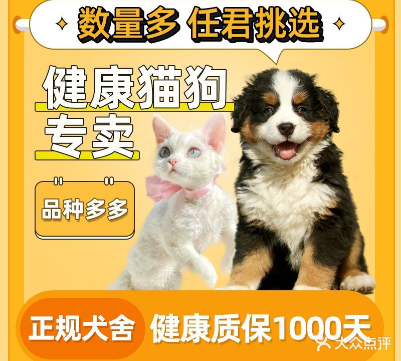 优宠天下名犬名猫(三亚店)