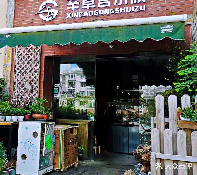 辛草宫水族鱼造景店(开元地中海商业广场店)