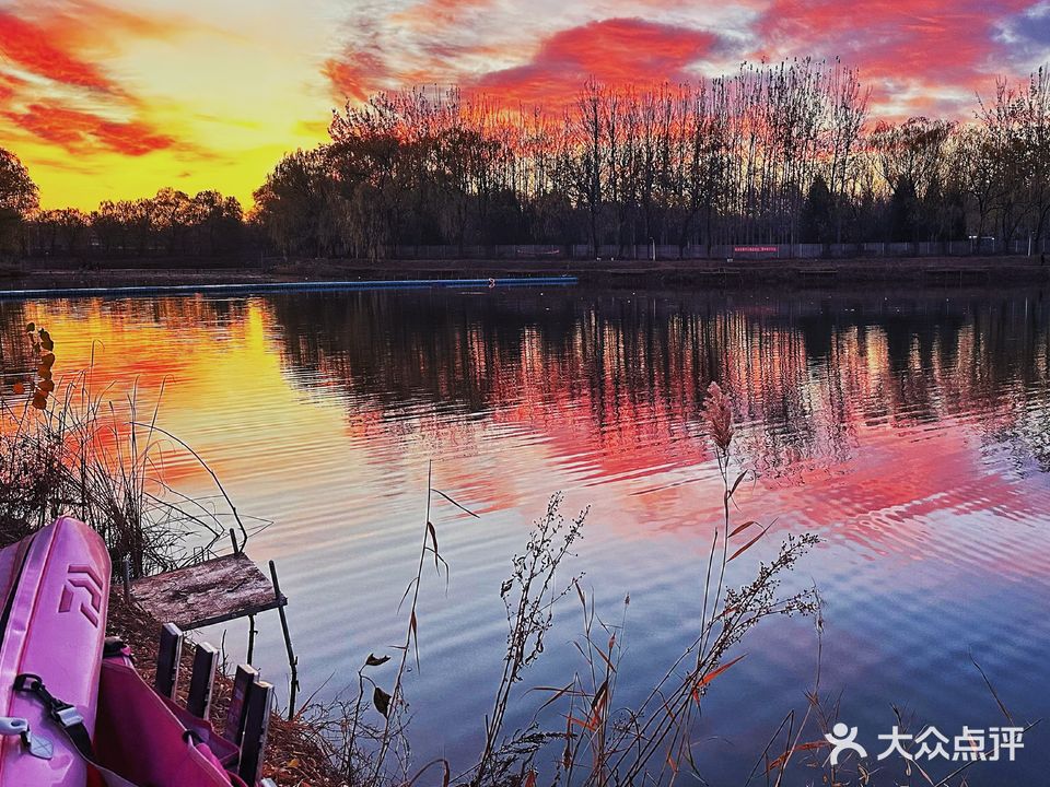 飞冲环湖垂钓园