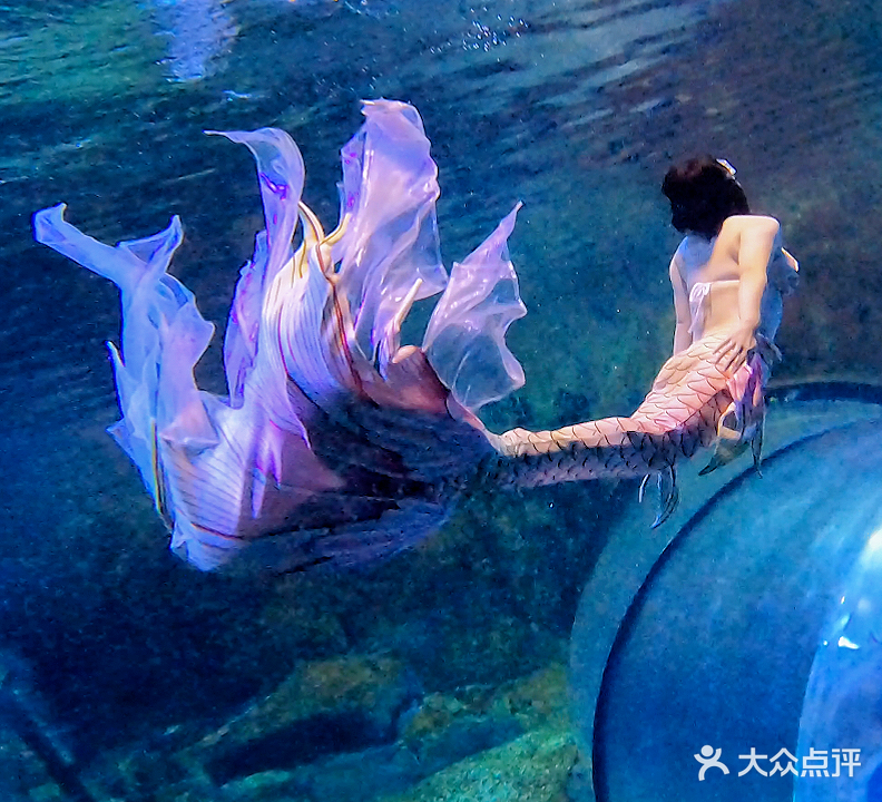 海天逸帆潜水游泳俱乐部