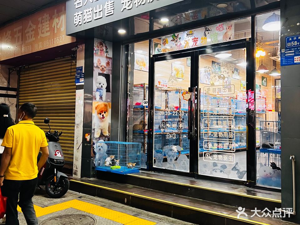 乐派宠物馆(虎门店)