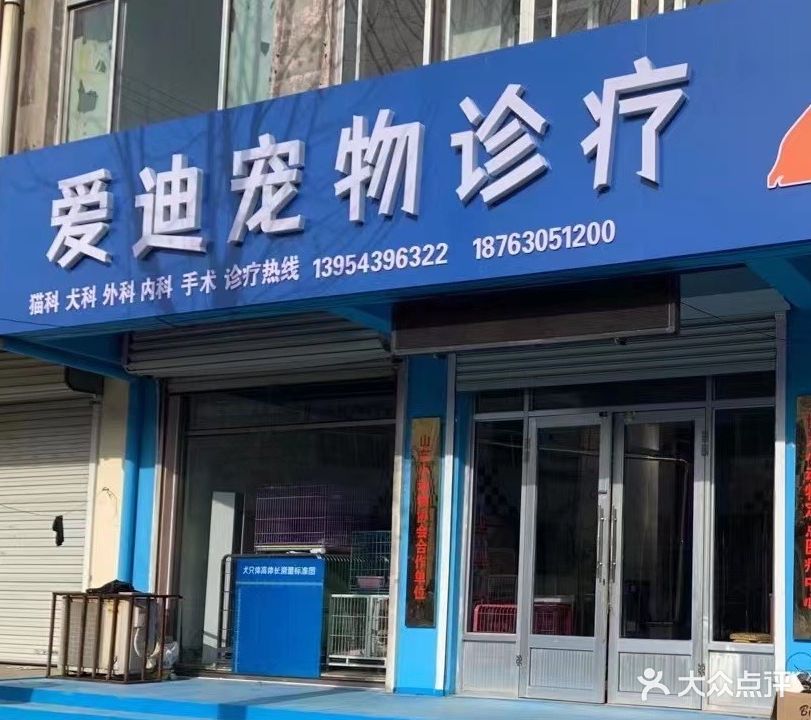 爱迪宠物医院(大世界店)