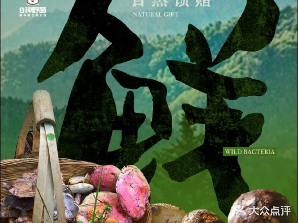 8种野菌南华野生菌火锅(南屏街)