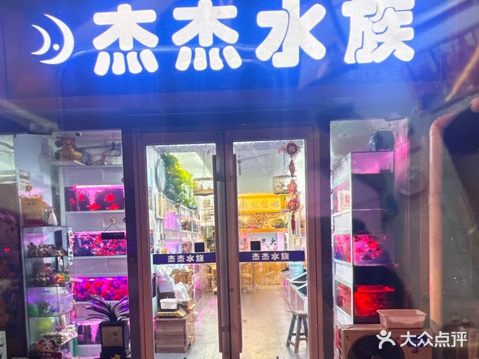 杰杰水族(富强路店)