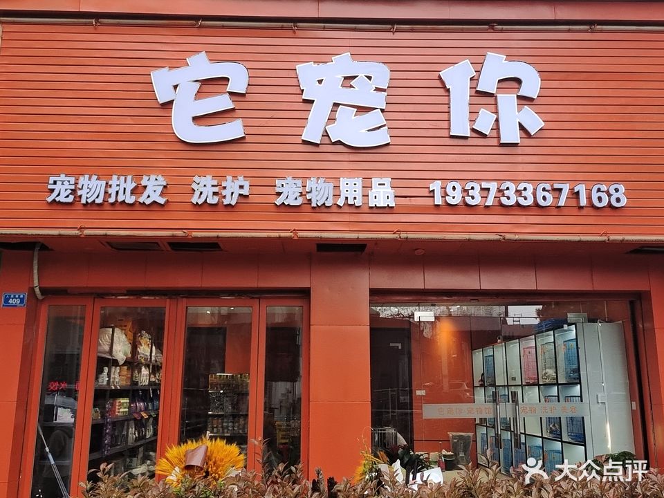 它宠你宠物店