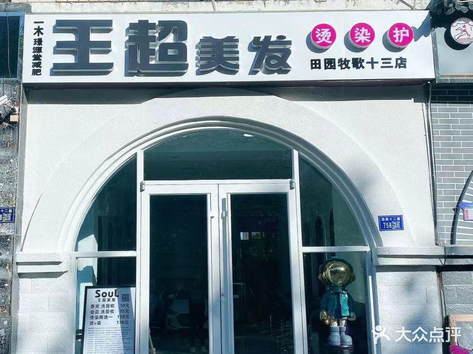 王超美发(田园牧歌十三店)