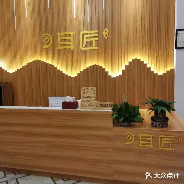 耳匠专业采耳(航空新城店)