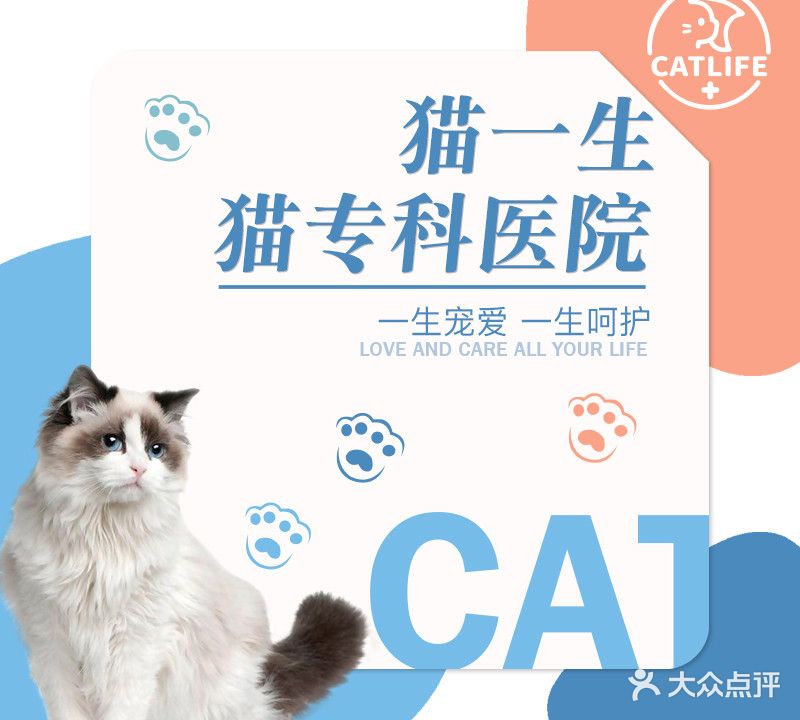 猫一生猫专科医院(青年中路店)