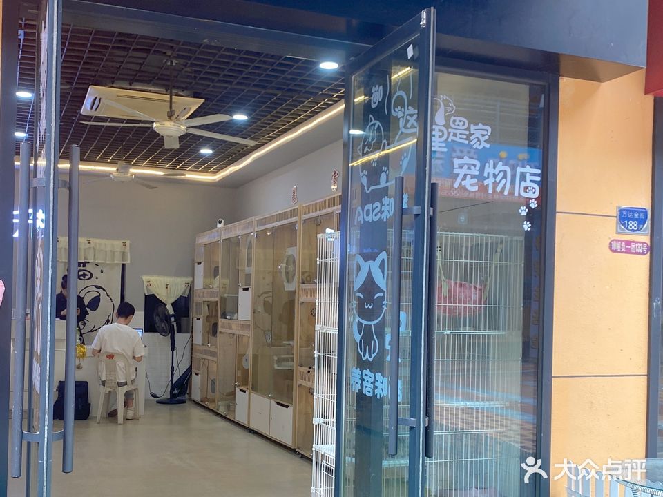 猫宁morning(三明万达广场店)