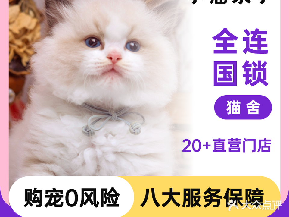 小猫来了·猫舍(星寰店)