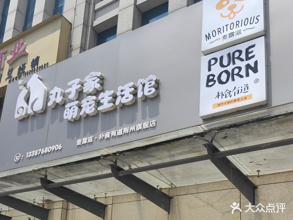丸子家萌宠生活馆