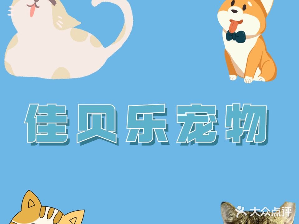 佳贝乐宠物店