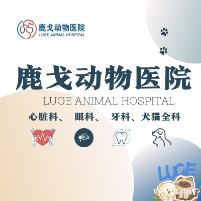 鹿戈宠物医学·心脏科·眼科中心