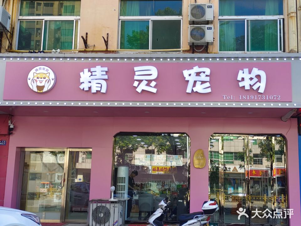精灵宠物(迎宾路店)