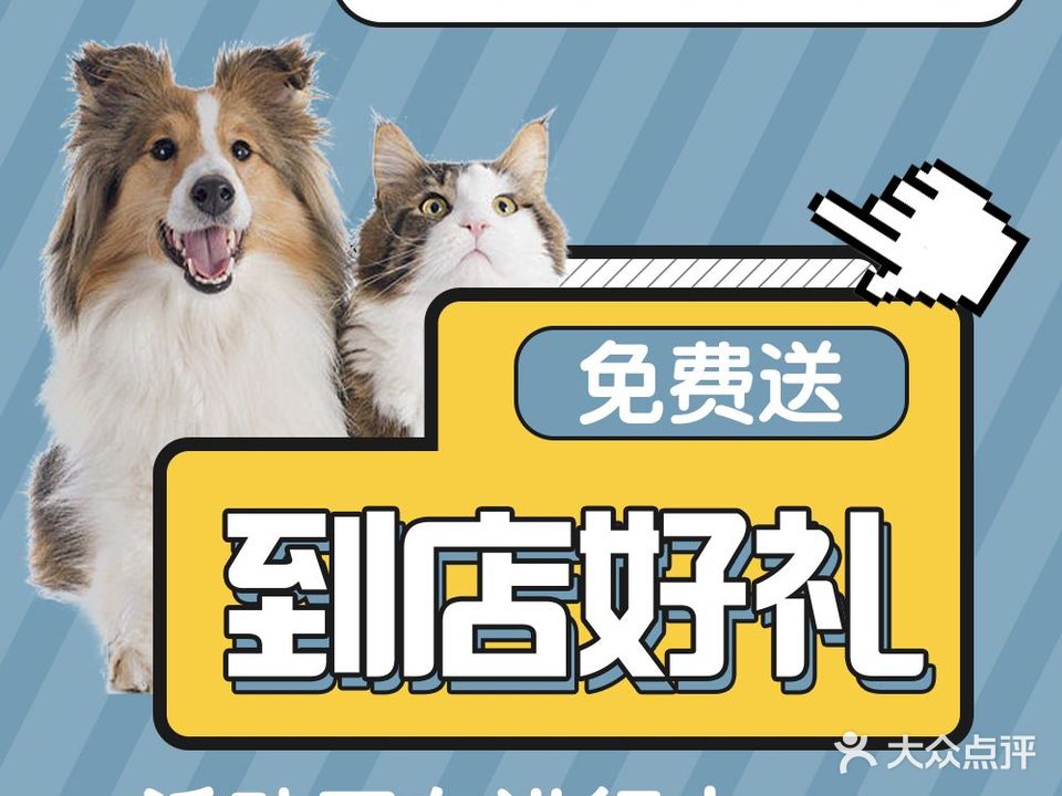 合创本色宠物医院·犬猫专科·心脏专科·骨科中心(御景城店)