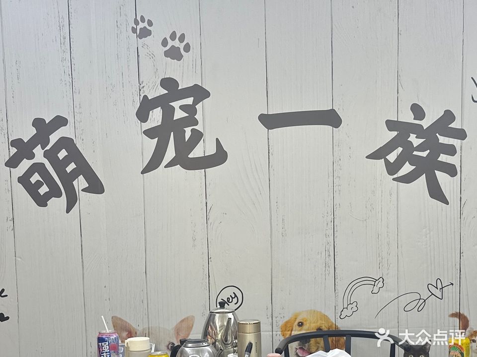 萌宠一族宠物表市