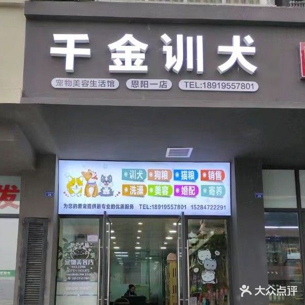 千金训犬(恩阳店)