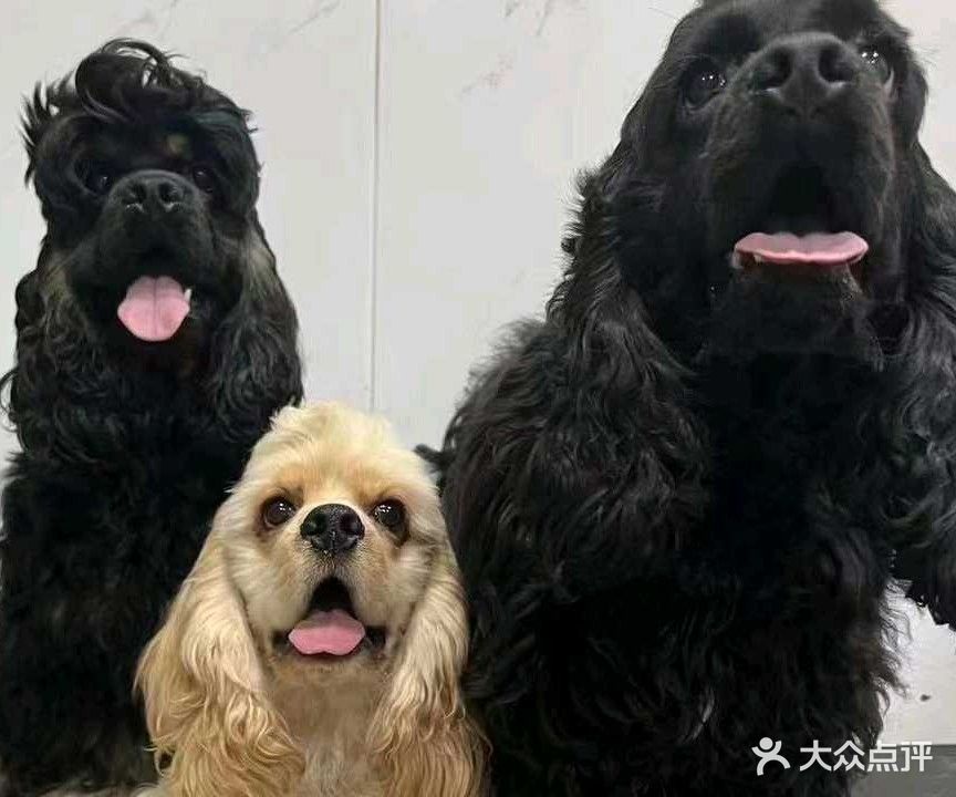 宠物生物馆