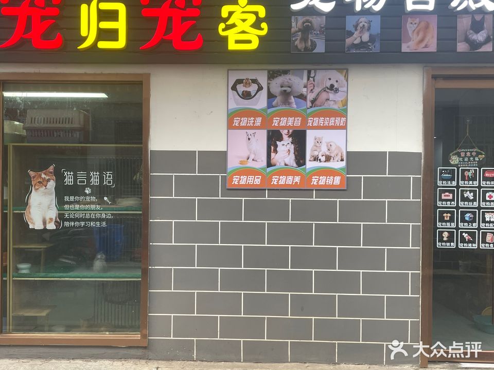 宠归宠客宠物店