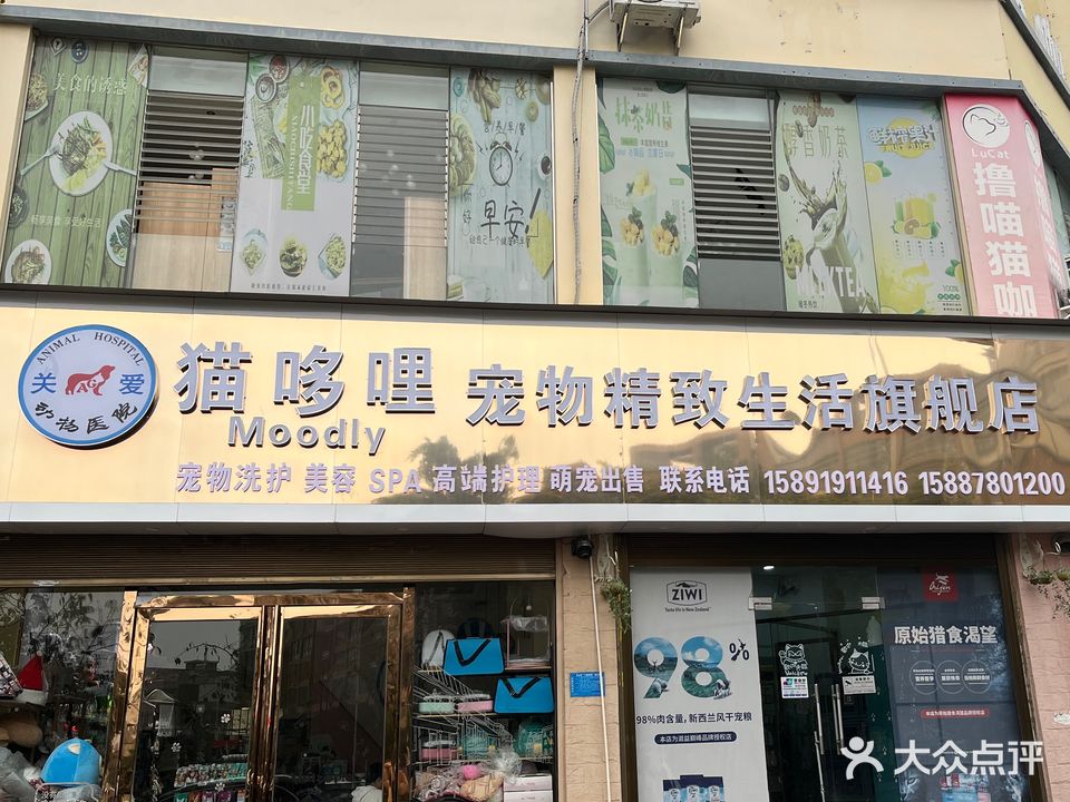 猫哆哩宠物精致生活旗舰店