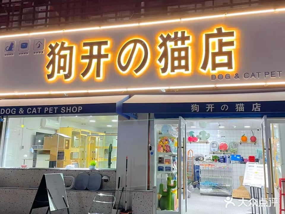 狗开的猫店