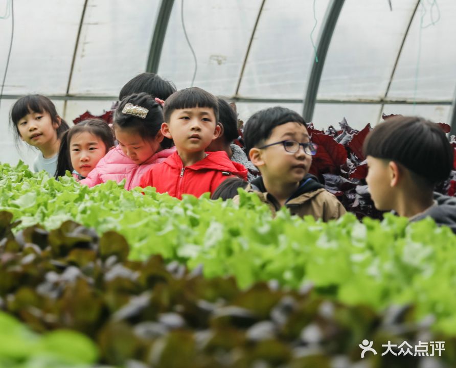 上蔬源妈妈农场