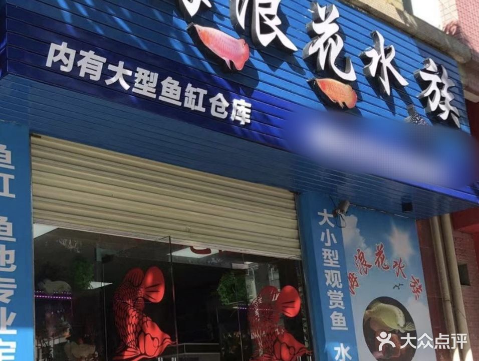 海浪花水族