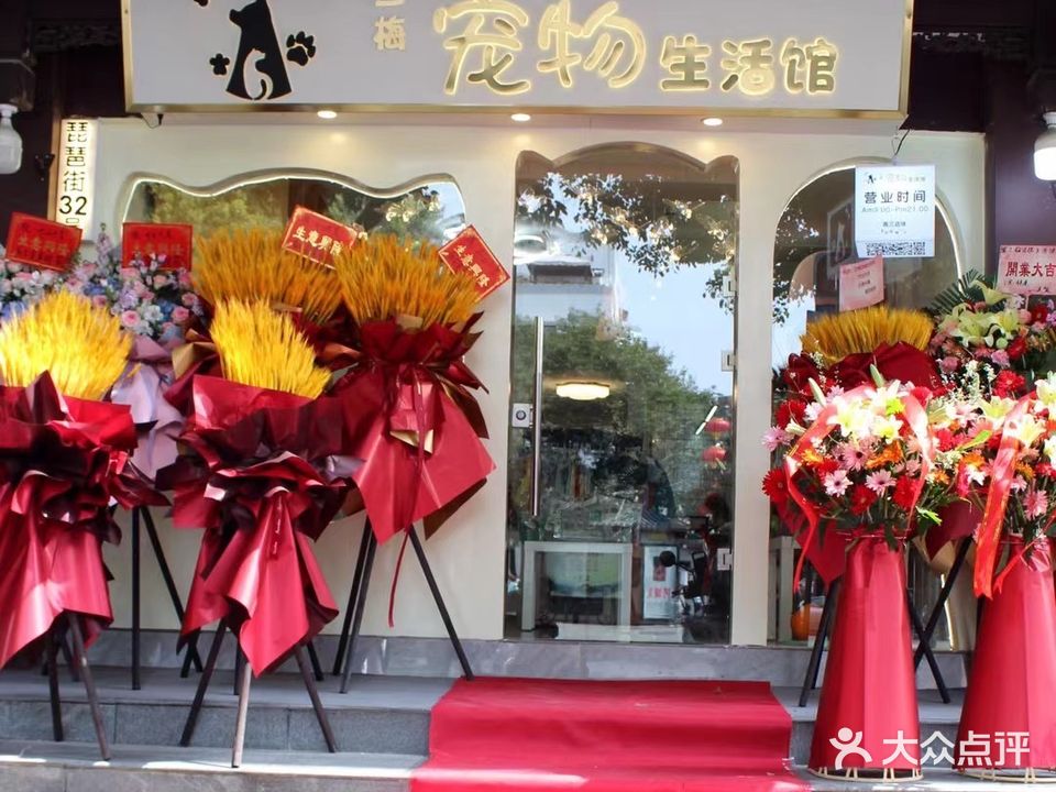 兰梅宠物生活馆(琵琶小区店)