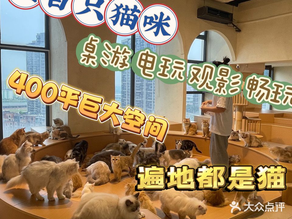 猫匠猫咖·桌游·电玩·观影综合店(红谷滩万达店)