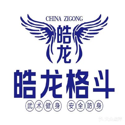 皓龙格斗训练营