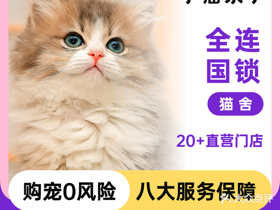 小猫来了·猫舍(红山六九七九店)